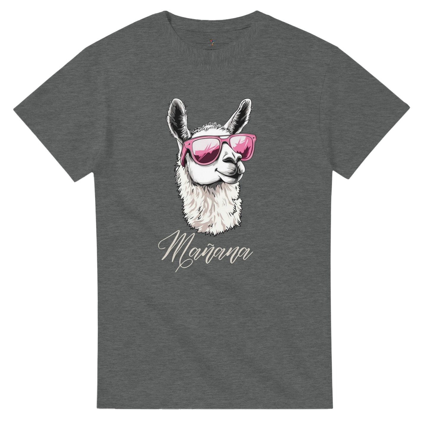 camiseta alpaca