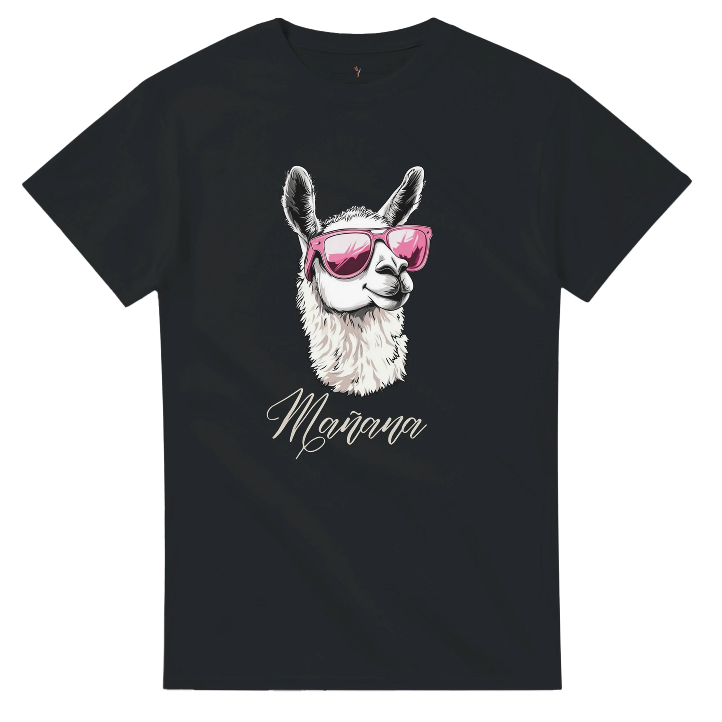 camiseta alpaca