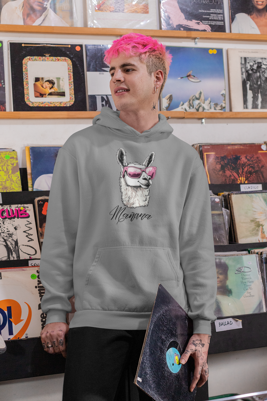 hoodie alpaca